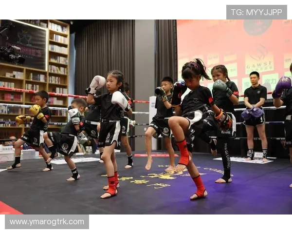 赛法斗：踢击独尊的优雅格斗艺术(3)